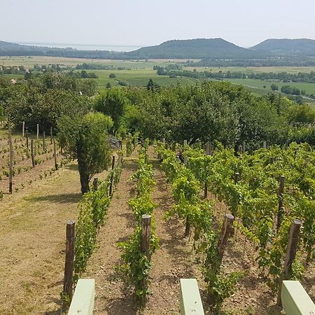 Grand Cru 4 Vendeghaz Villa Hegymagas Dış mekan fotoğraf