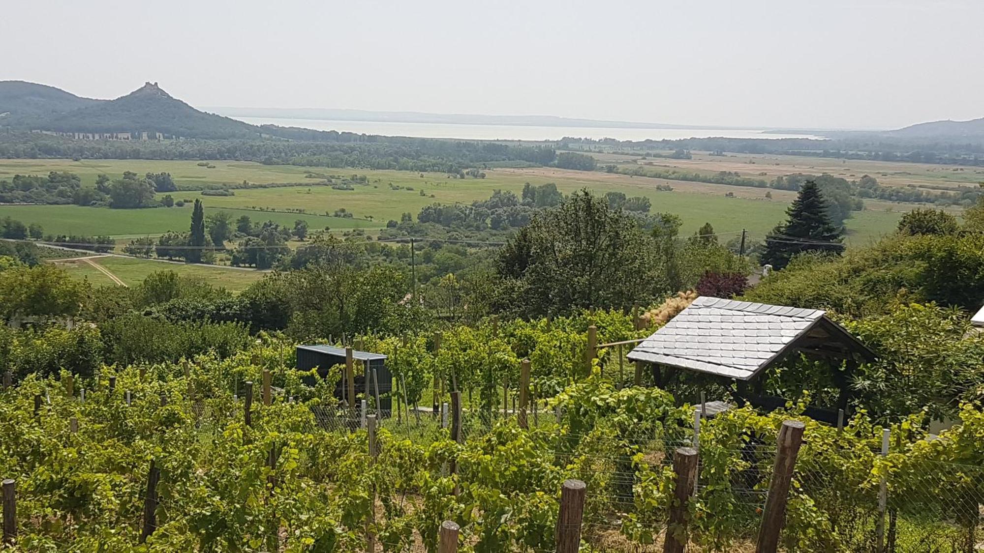 Grand Cru 4 Vendeghaz Villa Hegymagas Dış mekan fotoğraf